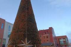 IMG_20231218_092446