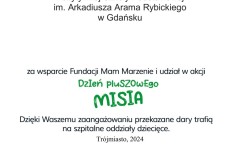 DPM_szablon-podziekowan_2024-4-1