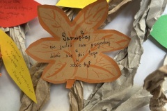 IMG_1109 IMG_1109
